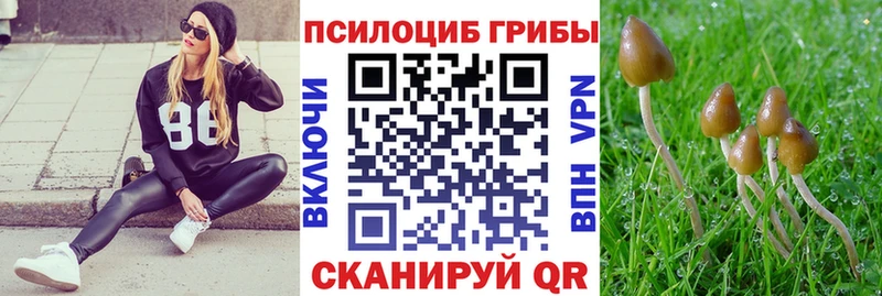 Купить  Мостовской  Галлюциногенные грибы GOLDEN TEACHER 